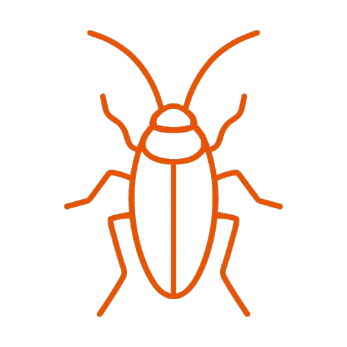 Cockroach Control